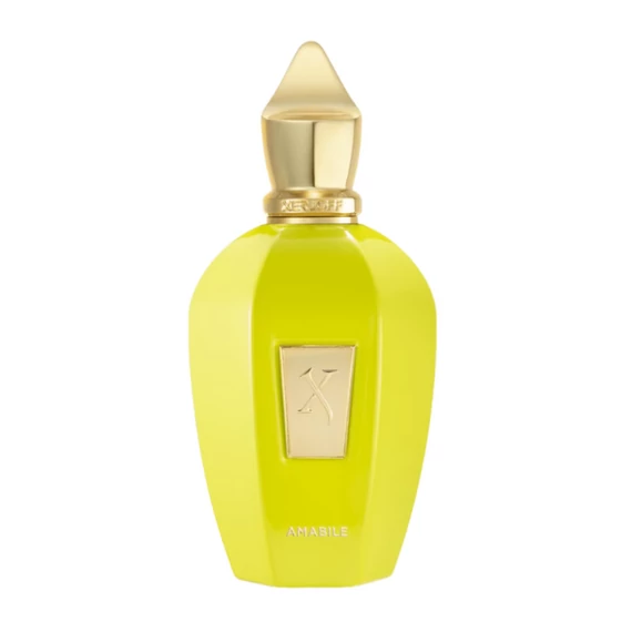 xerjoff amabile 100 ml