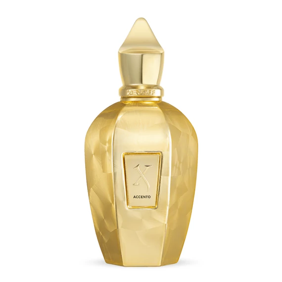 Xerjoff Accento Overdose 100 ml